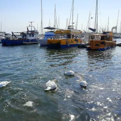 Mangalia Marina - Mangalia