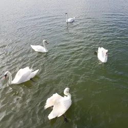 Therme Mangalia - Mangalia