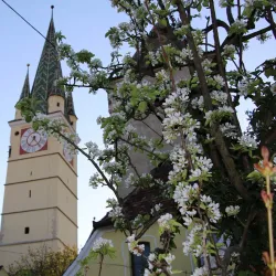 Evangelical Lutheran Church - Medias (Mediaș)