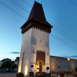 Medias Citadel - Medias (Mediaș)