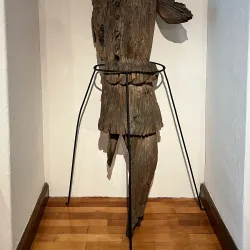 Museum of History and Archaeology - Medias (Mediaș)