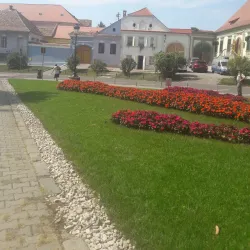 The Red Tower - Medias (Mediaș)