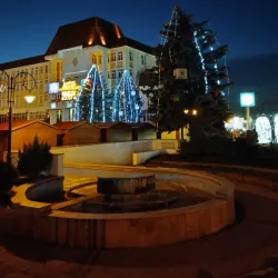 The Town Hall Tower - Medias (Mediaș)