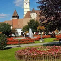 The Town Hall Tower - Medias (Mediaș)