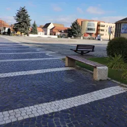The Town Hall Tower - Medias (Mediaș)