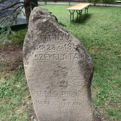 Central Park - Odorheiu Secuiesc