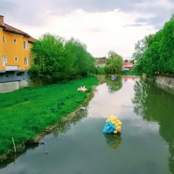 Central Park - Odorheiu Secuiesc