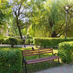 Central Park - Odorheiu Secuiesc