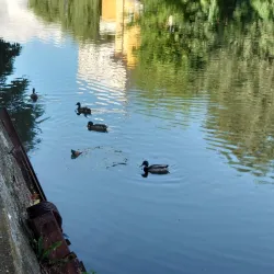 Central Park - Odorheiu Secuiesc