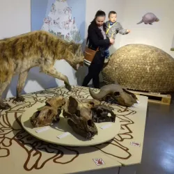 Ethnographic Exhibition - Odorheiu Secuiesc