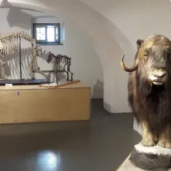 Ethnographic Exhibition - Odorheiu Secuiesc