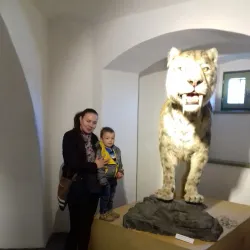 Ethnographic Exhibition - Odorheiu Secuiesc