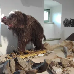 Ethnographic Exhibition - Odorheiu Secuiesc