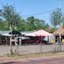Local Markets - Odorheiu Secuiesc