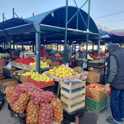 Local Markets - Odorheiu Secuiesc