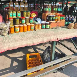 Local Markets - Odorheiu Secuiesc