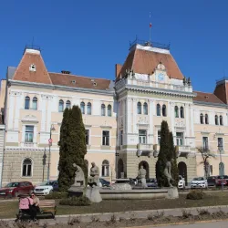 Odorheiu Secuiesc Town Hall - Odorheiu Secuiesc