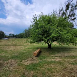 Székely Gate - Odorheiu Secuiesc
