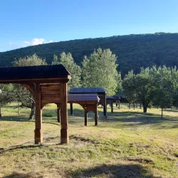 Székely Gate - Odorheiu Secuiesc