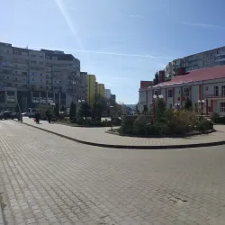 Pascani History Museum - Pascani