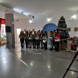 Pascani History Museum - Pascani