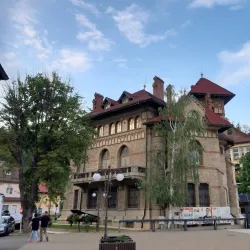 The Art Museum of Piatra Neamt - Piatra Neamt