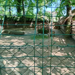 The Municipal Park (Parcul Municipal) - Piatra Neamt