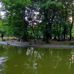 The Municipal Park (Parcul Municipal) - Piatra Neamt