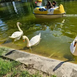 The Municipal Park (Parcul Municipal) - Piatra Neamt