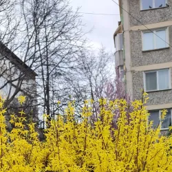 The Precista Church - Piatra Neamt