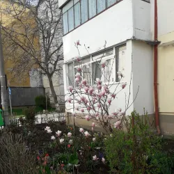 The Precista Church - Piatra Neamt