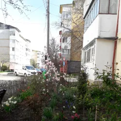 The Precista Church - Piatra Neamt