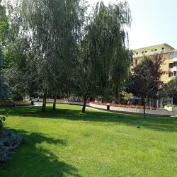 Negru Voda Church - Pitesti