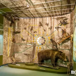 Pitesti Art Museum - Pitesti