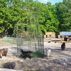 Pitesti Zoo - Pitesti