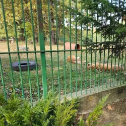 Pitesti Zoo - Pitesti