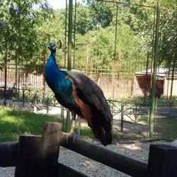 Pitesti Zoo - Pitesti