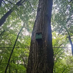 Trivale Park - Pitesti