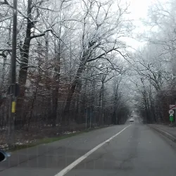 Trivale Park - Pitesti