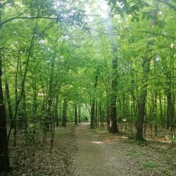 Trivale Park - Pitesti