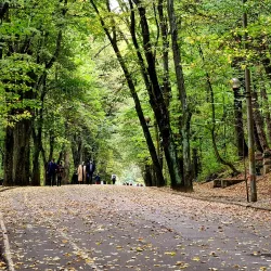 Trivale Park - Pitesti