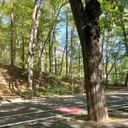 Trivale Park - Pitesti