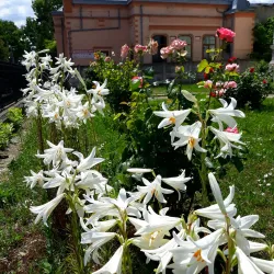 Natural Surroundings and Parks - Ramnicu Sarat