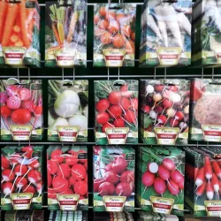 Ramnicu Sarat Market - Ramnicu Sarat