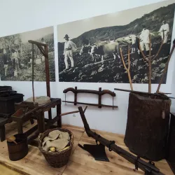 Ramnicu Sarat Museum - Ramnicu Sarat