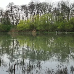Mureș River Promenade - Reghin