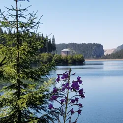 Bucegi Mountains - Râșnov