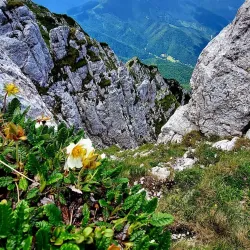 Bucegi Mountains - Râșnov