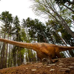 Dino Parc Râșnov - Râșnov