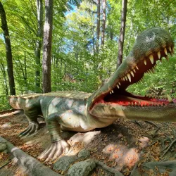 Dino Parc Râșnov - Râșnov